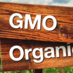 Gmo Organic