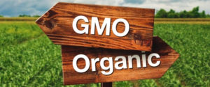 Gmo Organic
