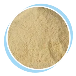 peptone bacteriological grade (1)
