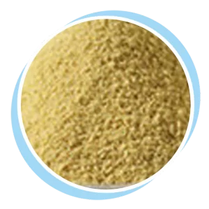 yeast extract powder