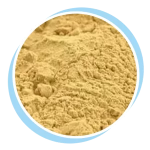 beef extract powder