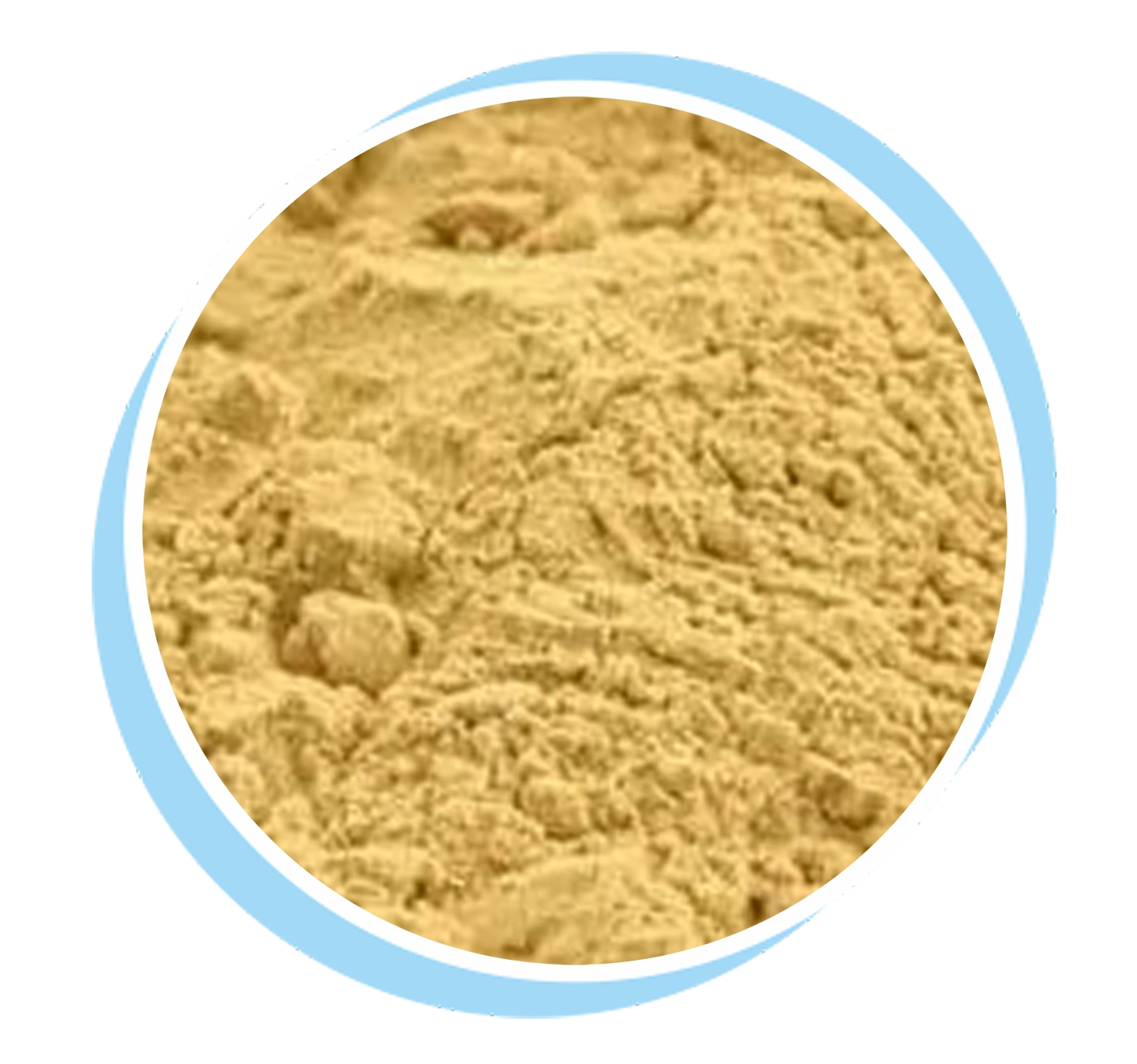 beef extract powder beef extract powder